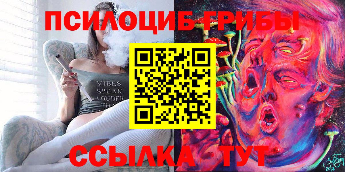 Псилоцибиновые грибы Psilocybe Учалы