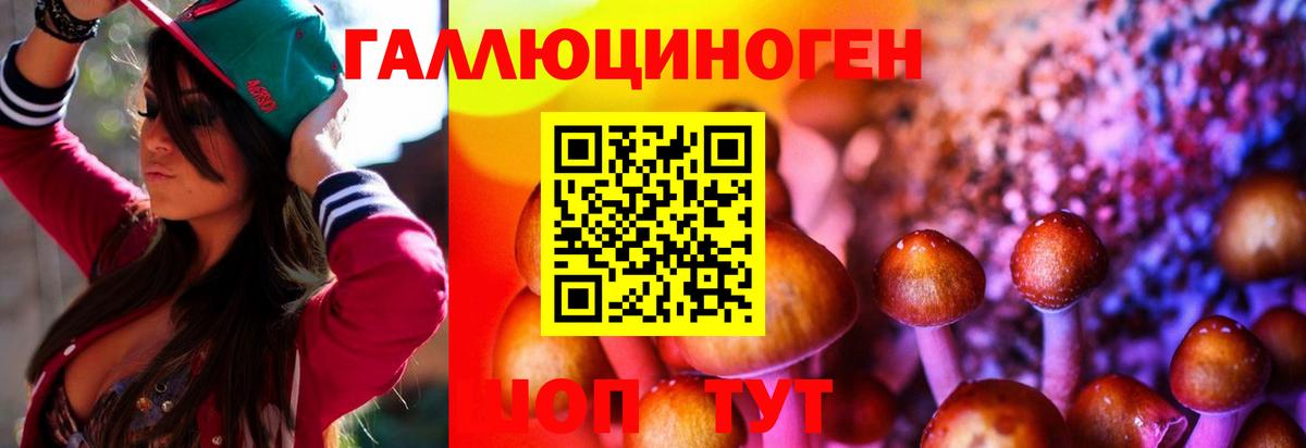Учалы  Псилоцибиновые грибы мухоморы  сколько стоит  Вход с VPN  Галлюциногенные грибы Psilocybine cubensis 